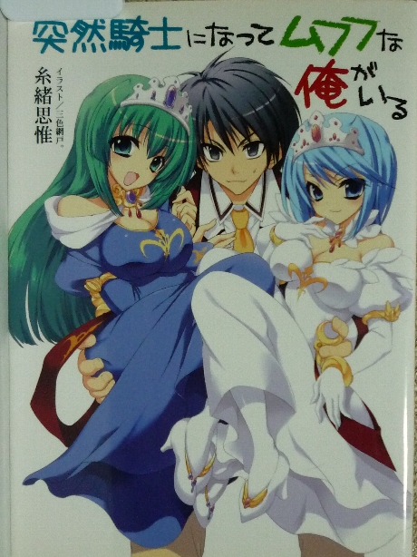 突然騎士になってムフフな俺がいる　糸緒思椎(著)